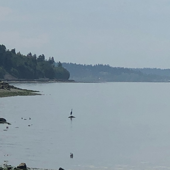 Sign Up with my code YEVA425 and save $10 - Picture 8 of 9